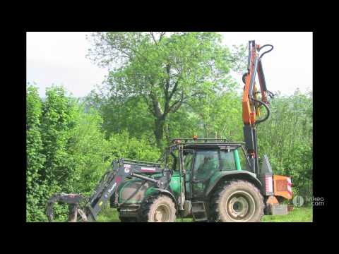 comment monter dans un arbre pour elaguer