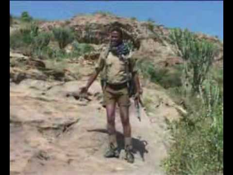 "Erdika Zeysiber" gedli song by Teklay Mesfin(Wedi Mihrey)