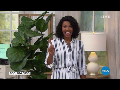 HSN | Saturday Blend with Lesley and Brett 04.20.2019 - 10 AM
