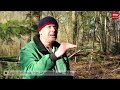 Waarom worden in Assen bomen gekapt?