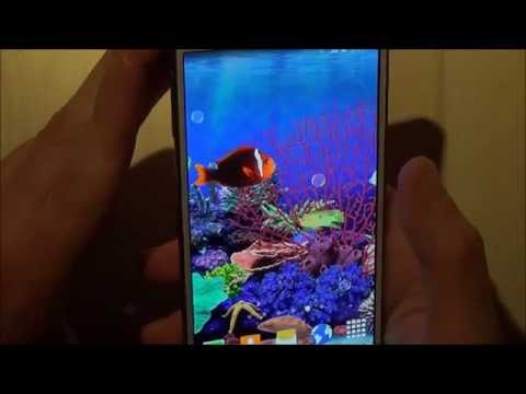 Aquarium Live Wallpaper HD Video