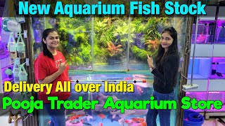 Pooja Trader Aquarium Store Visit I Delivery Available All Over India