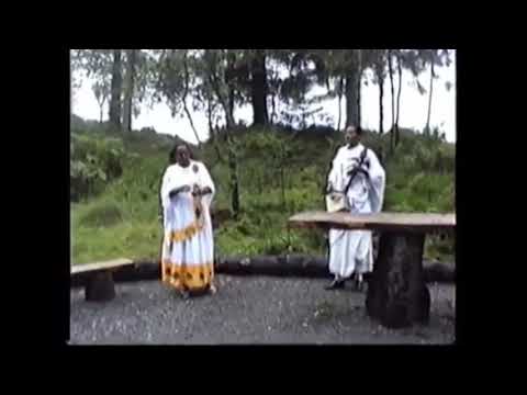 Ilfinesh Qannoo Fi Hirphaa Gaanfuree ❤️🌳❤️ Oromo Ethiopian Music