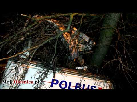 10.11.2010 Oleśnica, Piszkawa - autobus wjechał w drzewo