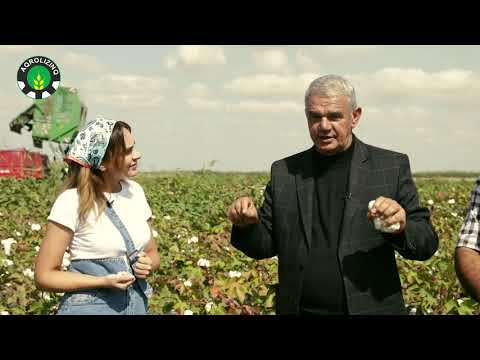 BƏRƏKƏT HƏRƏKƏTDİR!