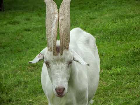 Urlaubstag 20.08.2014: Freilichtmuseum Beuren