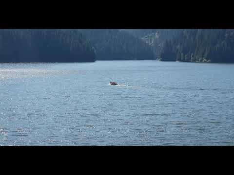 Apuseni-Transursoaia-30.08.2020