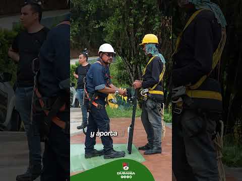 👷🏽‍♂️Inician trabajos de reemplazo de luminarias del sistema de alumbrado público a energía ☀️solar.