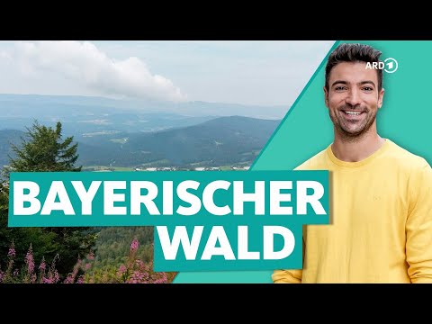 Adventure in the Bavarian Forest – hiking and cycling in Germany's "wildest" forest | WDR Reisen