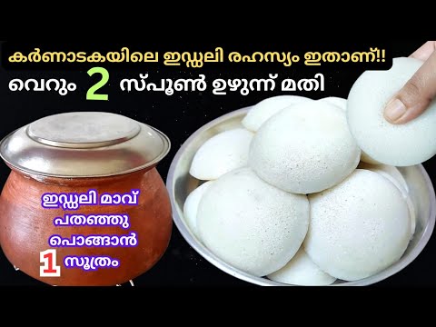 ഏത് സമയത്തും ഇഡ്ഡലി സോഫ്റ്റ് ആകാൻ ഈ ഒരു സൂത്രം മാത്രം മതി 👌 how to make perfect batter for soft idli