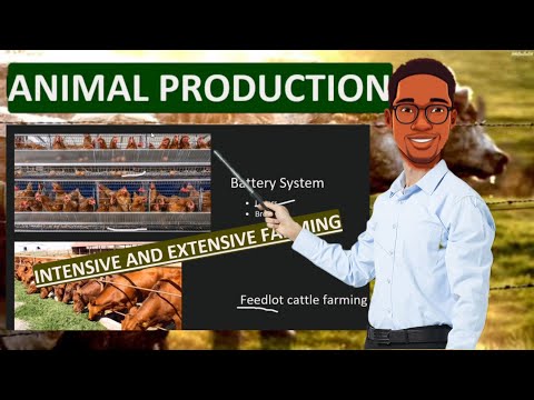 Intensive Landwirtschaft. Extensive Landwirtschaft. Tierproduktionsunterricht