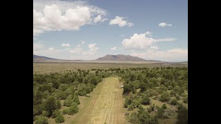 Flying W Ranch for Sale