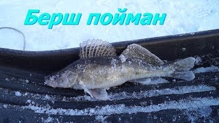 Отчеты за рыбалку на горе море в январе 2020