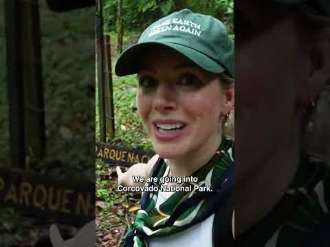 The most BIODIVERSE place on planet earth ! #costarica #corcovadonationalpark #nationalgeographic