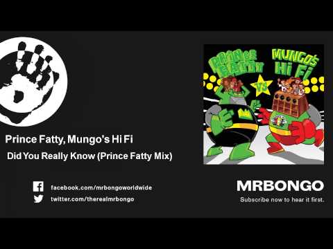 Prince Fatty, Mungo's Hi Fi - Did You Really Know - Prince Fatty Mix - feat. Soom T