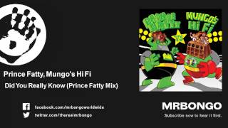 Prince Fatty, Mungo's Hi Fi - Did You Really Know - Prince Fatty Mix - feat. Soom T