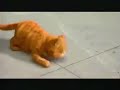 Garfield The Movie 2004 TV Spot 07