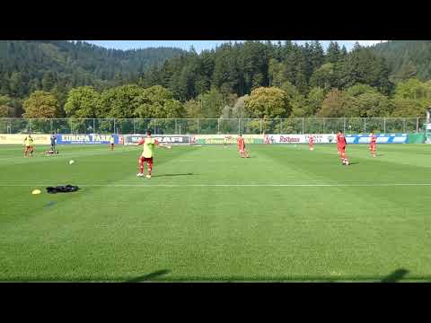 Freiburger Training: Ballorientiertes Verschieben der Viererkette