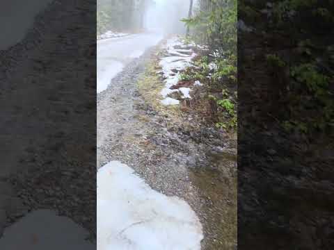 site #1 -- the closest to the nearby highway, I think the smallest spot. Nonetheless surrounded by woods and VERY flat, good for backing into with an RV.