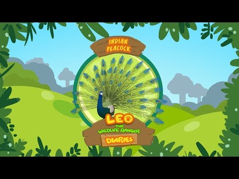 Witness21 Editor  2019 03 08