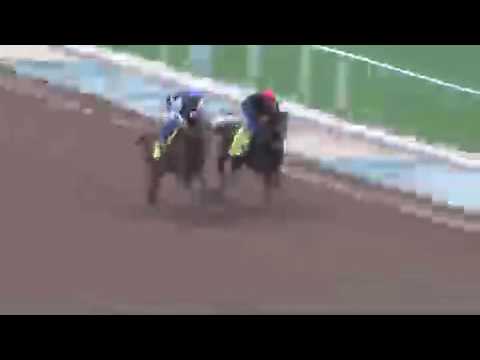 Irish Freedom 2.19.17 breeze