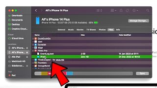 How To Access All iPhone files from PC!