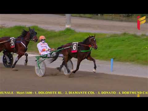 II Corsa del 4 Dicembre 2021 - 2 Anni - Metri 1600