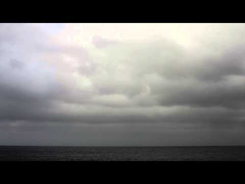 Zeid and the Wings | Jazira