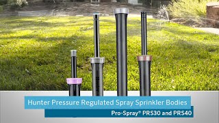 Hunter Pressure Regulated Spray Sprinkler Bodies