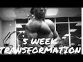 5 week Classic Physique Transformation