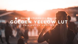 Get A CRAZZZYY Golden Look With this LUT !! (Final Cut Pro X, Adobe Premiere Pro CC etc.)