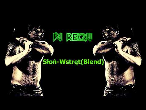 Słoń-Wstręt(By DJ ReQu blend)
