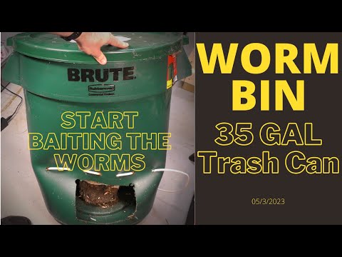 DIY Trash Can Worm Bin - Baiting the Worms 8/28/2023