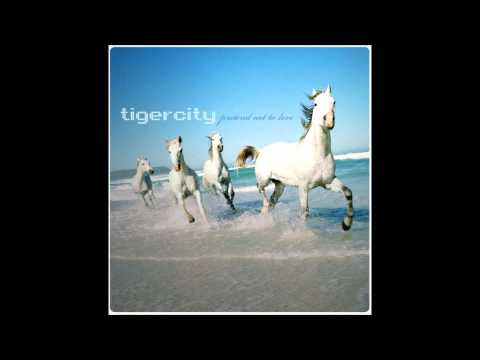 Tigercity - Are You Sensation