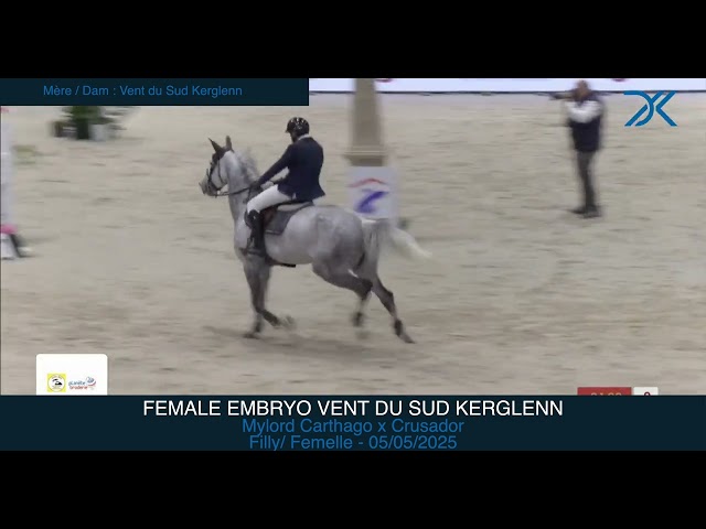 Female Embryo Vent du Sud Kerglenn