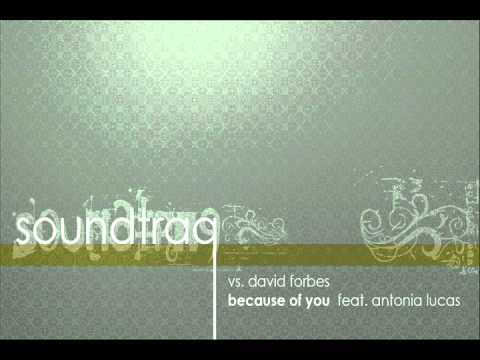 Soundtraq vs David Forbes ft Antonia Lucas - Because Of You