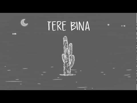 AUR - TERE BINA (Official Visualizer)