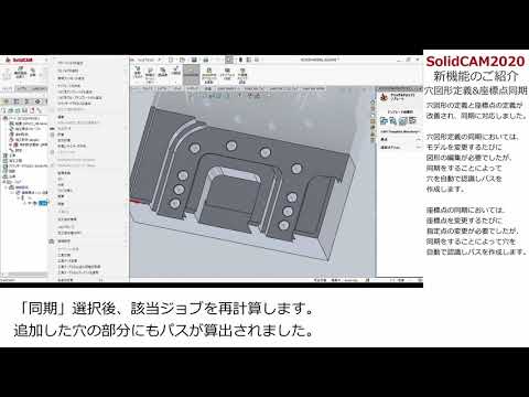 シノタクシ科 - 定義