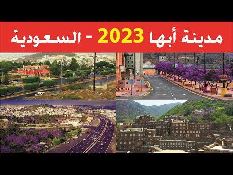 الفيديو