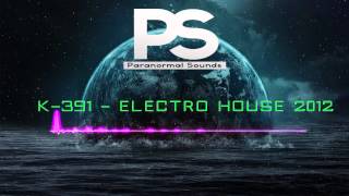 K-391 - Electro House 2012