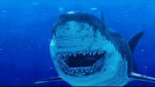 Shark of Darkness: Wrath of Submarine