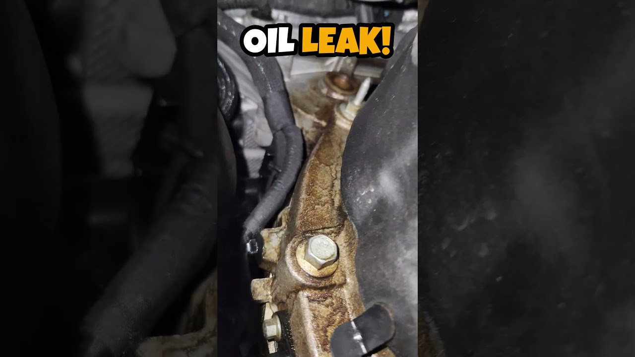 Jaguar Mysterious Oil Leak FIX! #jaguarfpace #carcaretips