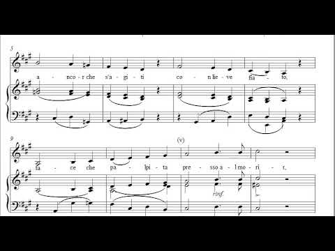 MANCA SOLLECITA  - Alto - VACCAJ