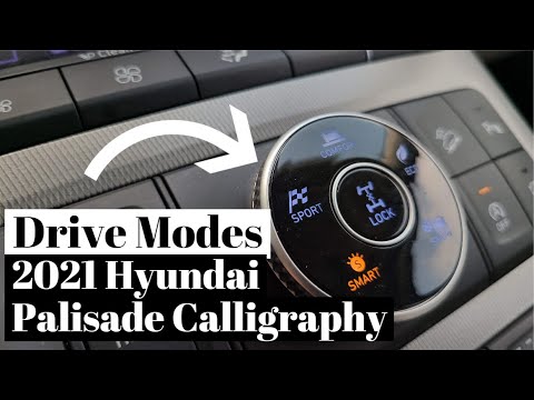 How do you use cruise control on Palisades? | WapCar