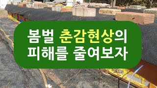 2024 봄벌, 춘감현상의 피해를 줄여보자.