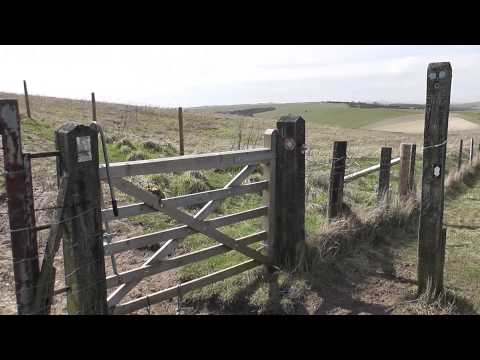 SWC Free Walk 50, Hassocks to Brighton. 14/4/13.