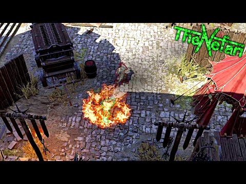 Stupid Paladin Cork - Divinity 2 Original Sin Let's Play Part 29