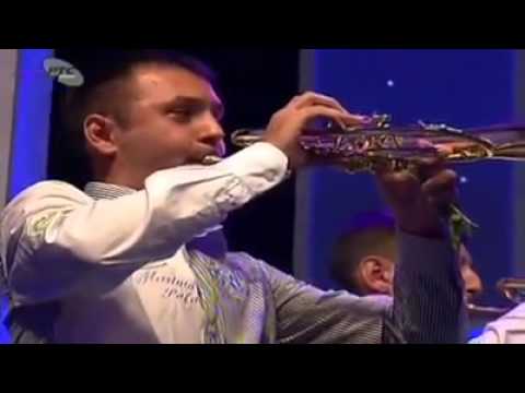 Orkestar Dragana Ignjica i Neda Ukraden