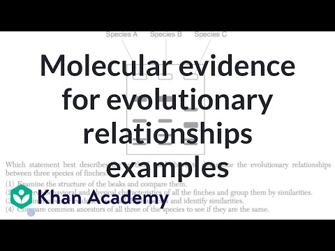 khan academy molecular biology khan academy molecular biology