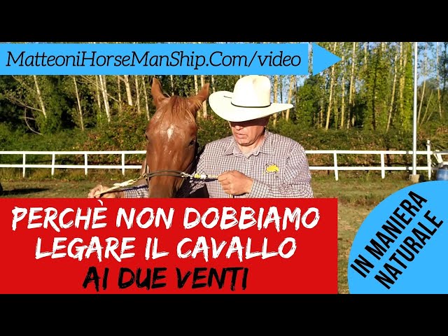 Video Aussprache von Venti in Italienisch